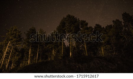 Night scene, horizontal image, of trees with stars.
Starry night sky. Night forest. Astronomical landscape. Night landscape of forest and stars. Yellow shades.
sky. Stars. 