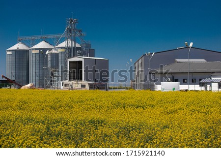 Rapeseed harvesting and sowing factory