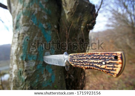 image of camping knife stuck in tree

