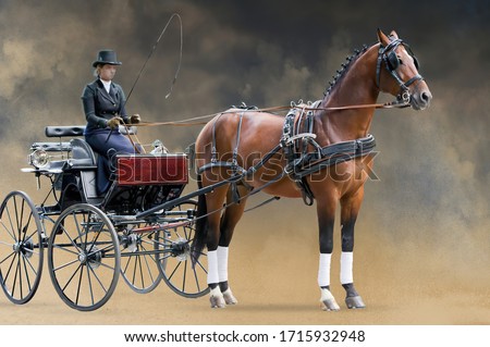 Vintage carriage whis girl and bay horse isolated on color dust background