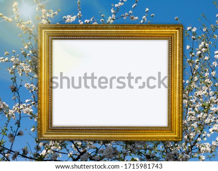 Vintage gold frame with ornament amid white cherry flowers with blue sky background, free space for your design and home interior, green concept