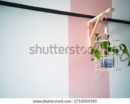 Green plant in bird cage on  pink and white background.