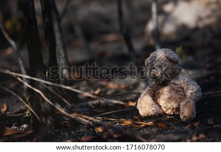 Lonely teddy bear in the  burnt forest.Global warming/Ecology concept background.  Royalty-Free Stock Photo #1716078070