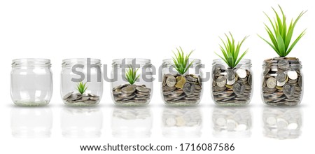 Plants growing on stacks of coins in glass jars isolated on white background. Money, saving, bussiness and investment concept. with clipping paths.
