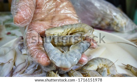 Image of hand with plastic glove holding prawns