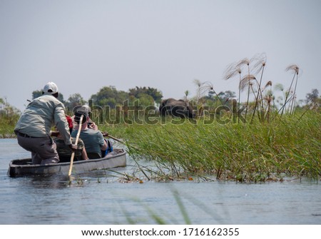 Tourists in Mokoro boats observing huge elephant in water in the Okavango Delta in Botswana