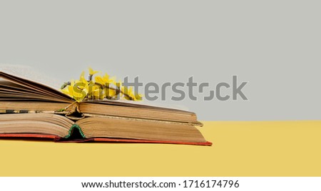 small yellow blooming forsythia flowers on open old books with battered leaves. book banner
