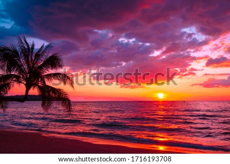 Beautiful sunset tropical beach with palm tree and pink sky for travel and vacation in holiday relax time Royalty-Free Stock Photo #1716193708