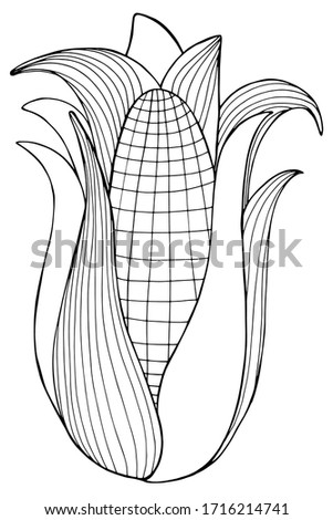 Drawing with big corn. Hand draws antistress for children and adults. Corn with big leaves. Clack plant with small details. Design for children's books, textiles, packaging, tattoo. coloring  popcorn