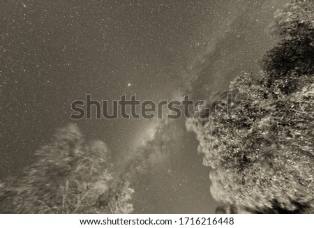 Mountain landscape showing pine trees against a night sky shot of the universe filled with stars, astronomy image