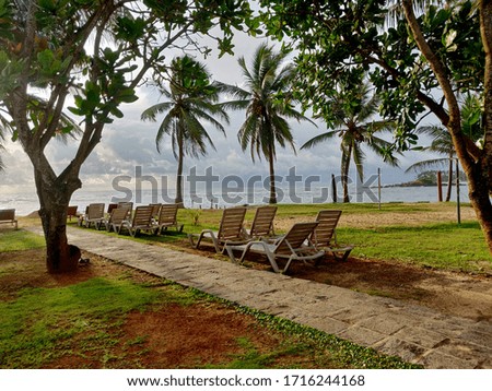 relax near the palm beach photo