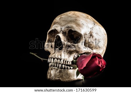 Still life with human skull with red rose in the mouth Royalty-Free Stock Photo #171630599