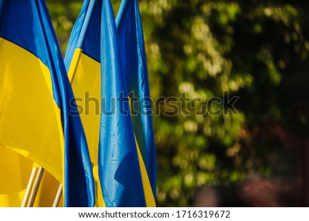 Ukrainian flags on a blurred green background on the street.