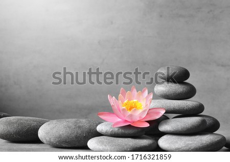 Stack of grey massage stones on grey background and lotus flower. Spa concept.