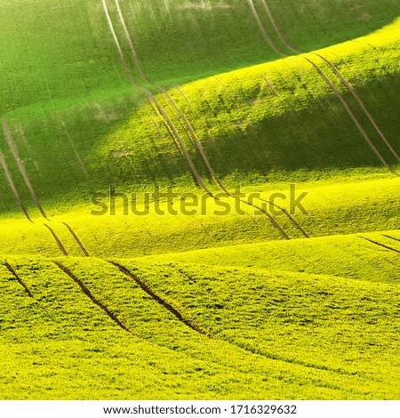 Green spring nature background with setting sun and grass. Waves on the field.  Moravian Tuscany - Czech Republic - Europe.
