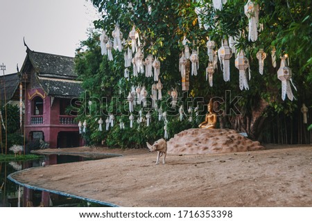 lanterns on trees and a golden buddha statue in Wat Phan Tao during the Chiang Mai Lantern Festival, Loi Krathong Festiva