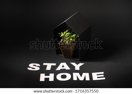 Potted plant under a house-shaped black roof and stay home message layed with white paper over black backround.
