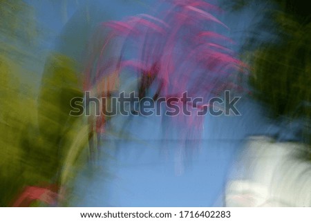 abstract blurred flower background by using zooming and panning techniques