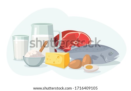 Food high in protein isolated on white. Beef, egg, cheese and fish. Vector Royalty-Free Stock Photo #1716409105