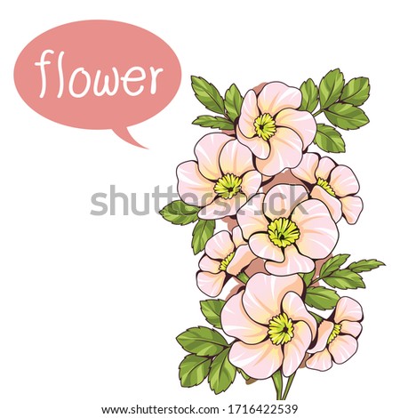 Bouquet of pink flowers and pink speech balloon with letter "flower"clipart. Vector illustration. Isolated on white background.