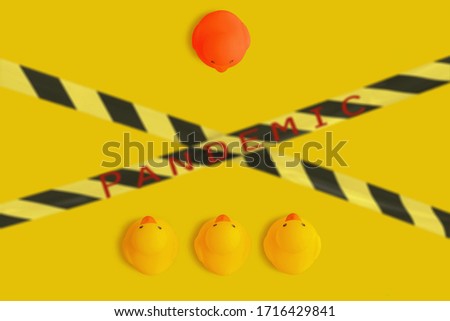 duck toys, barrier tape with blurred inscriptions pandemic, concept of protecting the healthy with a medical mask from viruses, individual protection of health from the virus, coronavirus, covid-19
