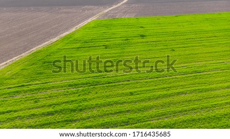 Aerial top view of a different agriculture fields in countryside on a spring day. Drone shot