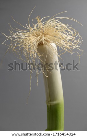  Leek with roots on gray background