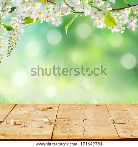 spring background with wooden planks 