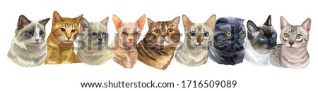 Vector horizontal illustration with isolated different cats breeds portraits standing in a row. Cats vector vintage illustration in realistic style.Image for design, cards, tattoo.Stock illustration