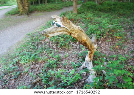 A dry branch resembling the face of a dog in the forest. In the sunglasses.
The jokers put sunglasses on a dry branch resembling a dog’s face.Focus is set on a dry branch. Forest - Bokeh
