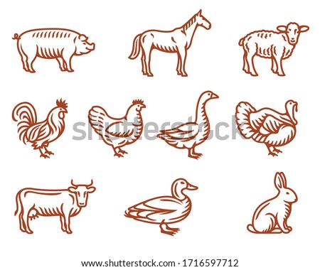 Set of farm animals and birds vector isolated illustrations for groceries, meat stores, restaurant menu