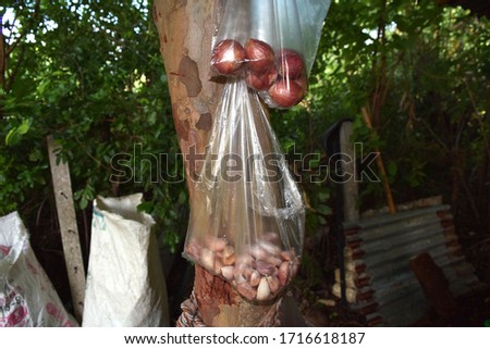 Shallots in a plastic bag for cooking