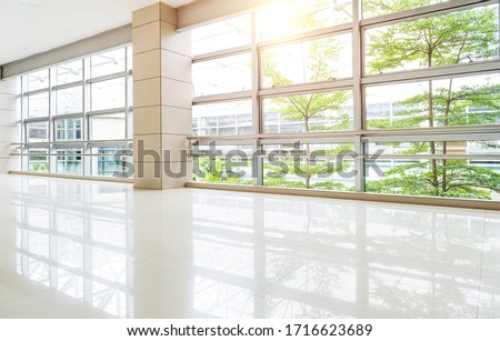Empty corridor in modern office building with green tree outside the window.