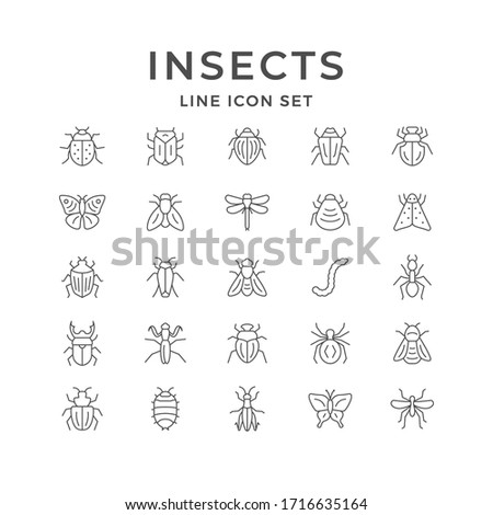 Set line icons of insects