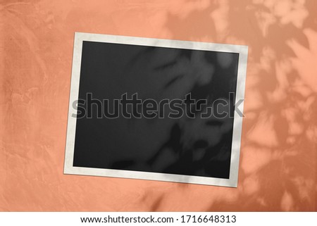 white photo card on a Saffron red colored wall with a shadow from a tree