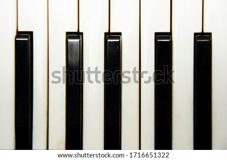 the white and black keys of a piano or accordion. Close up