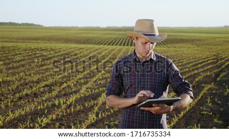 The farmer uses a digital tablet standing in the middle of a cornfield. The farmer tests the growth quality of a young corn seedling.