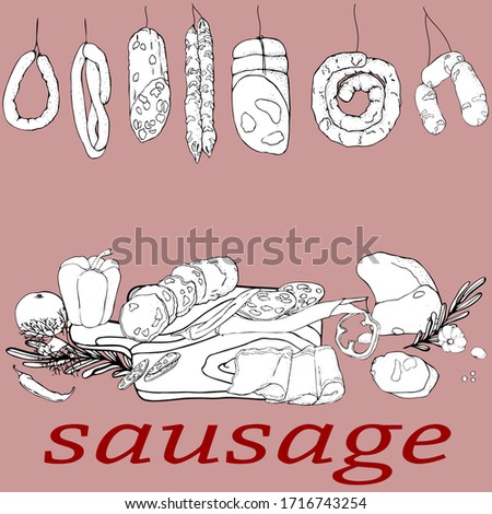 figure farm meat product boiled,smoked,uncooked smoked sausage.vector illustration menu or signboard,icon.