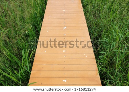 Wood bridge walkway along green rice field in Thailand.