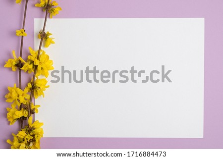 Branches with yellow Magnolia flowers and a blank sheet of white paper on a magenta solid background. Space for text.