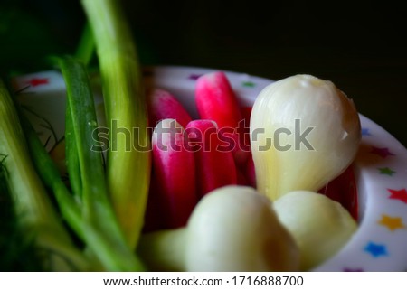 Food composition with onion bulbs,  radishes, dill and green onions. Stock Image