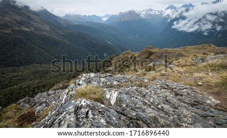 View on alpine valley (with mountains in backdrop) filled with dense woods. Shot on Routeburn Track, New Zealand