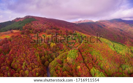 Stunning Autumn Colors over Osogovo mountain. It's drone photography - taken from Ponikva ski resort in Osogovo mountain - Macedonia.