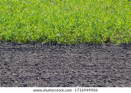 Arable field half green, other half cultivated fertile land