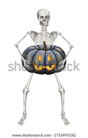 Human skeleton with pumpkin. Halloween clip art on white background