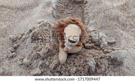 little plush toy lion on a sandy beach