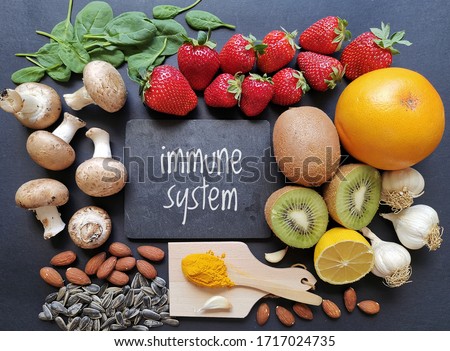 Assortment of food to naturally boost immune system. Healthy eating for strong immune system. Immune-boosting foods. Concept of helpful ways to strengthen immunity naturally. Kiwi, turmeric, garlic... Royalty-Free Stock Photo #1717024735