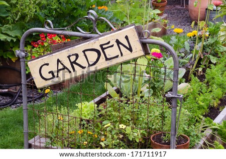 Two raised garden beds filled with flowers and vegetables are nestled in small backyard. A delightful rustic sign hanging jauntily on a recycled gate adds an artistic accent.