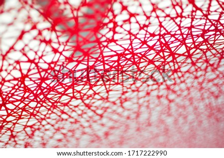A red network of fine lines runs through the picture. The focus is in the center of the picture.