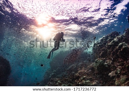 safety stop on the richelieu rock Royalty-Free Stock Photo #1717236772